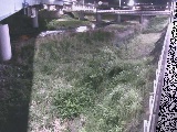 大窪橋付近のカメラ画像