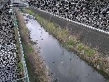 山王川 東洋橋付近のカメラ画像