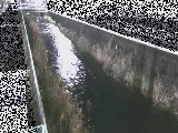 山王川 東洋橋付近のカメラ画像