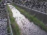 東洋橋付近のカメラ画像