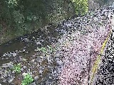 千歳川 千歳付近のカメラ画像