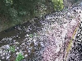 千歳川 千歳付近のカメラ画像