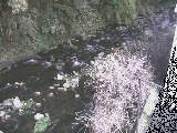 千歳川 千歳付近のカメラ画像