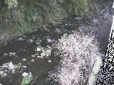 千歳川 千歳付近のカメラ画像