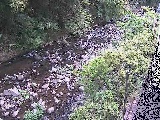 千歳川 千歳付近のカメラ画像