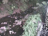 千歳付近のカメラ画像