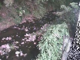 千歳付近のカメラ画像