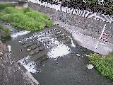 新崎橋付近のカメラ画像