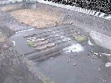 新崎川 新崎橋付近のカメラ画像