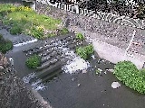 新崎川 新崎橋付近のカメラ画像