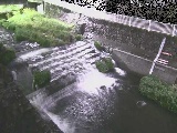 新崎川 新崎橋付近のカメラ画像