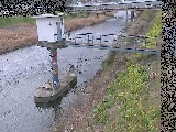 狩川 狩川水位観測所付近のカメラ画像