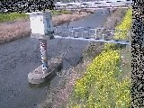 狩川 狩川水位観測所付近のカメラ画像