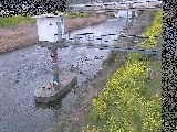 狩川水位観測所付近のカメラ画像