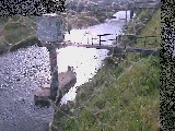 狩川水位観測所付近のカメラ画像