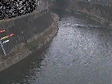 帷子川 宮崎橋付近のカメラ画像