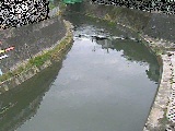 宮崎橋付近のカメラ画像
