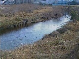 鶴見川 落合橋付近のカメラ画像