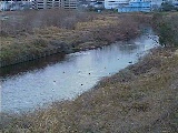 鶴見川 落合橋付近のカメラ画像