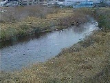 鶴見川 落合橋付近のカメラ画像