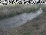 鶴見川 落合橋付近のカメラ画像