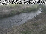 鶴見川 落合橋付近のカメラ画像