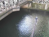 帷子川分水路 西鶴屋橋付近のカメラ画像