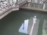 西鶴屋橋付近のカメラ画像