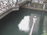 帷子川分水路 西鶴屋橋付近のカメラ画像