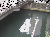 帷子川分水路 西鶴屋橋付近のカメラ画像