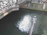 帷子川分水路 西鶴屋橋付近のカメラ画像