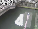帷子川分水路 西鶴屋橋付近のカメラ画像