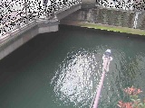 西鶴屋橋付近のカメラ画像
