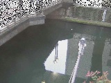 西鶴屋橋付近のカメラ画像