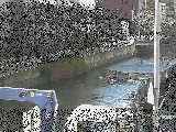 石崎川 石崎橋付近のカメラ画像