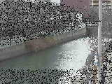 石崎川 石崎橋付近のカメラ画像
