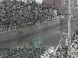 石崎川 石崎橋付近のカメラ画像