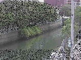 石崎橋付近のカメラ画像