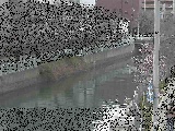 石崎橋付近のカメラ画像