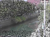 石崎橋付近のカメラ画像