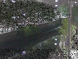 石崎橋付近のカメラ画像
