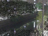 石崎橋付近のカメラ画像