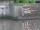 元平沼橋付近のカメラ画像