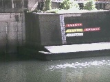 帷子川 元平沼橋付近のカメラ画像