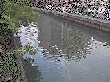 新田間橋付近のカメラ画像
