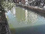 新田間川 新田間橋付近のカメラ画像