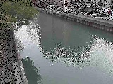 新田間川 新田間橋付近のカメラ画像