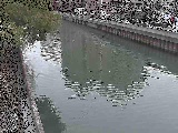 新田間川 新田間橋付近のカメラ画像