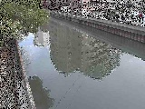 新田間川 新田間橋付近のカメラ画像