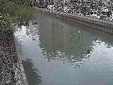 新田間橋付近のカメラ画像